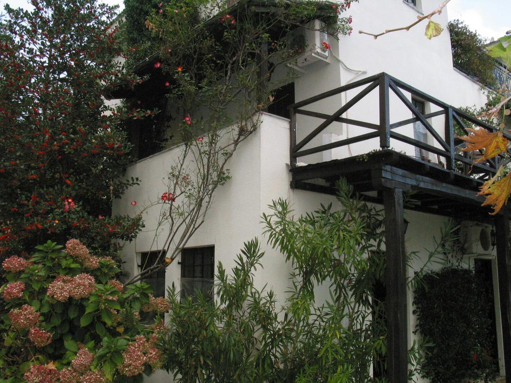 Villa Georgie Tsagarada Zewnętrze zdjęcie